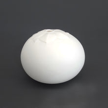 画像をギャラリービューアに読み込む, 若杉聖子