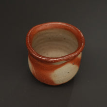 画像をギャラリービューアに読み込む, 伊勢崎紳