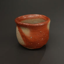 画像をギャラリービューアに読み込む, 伊勢崎紳