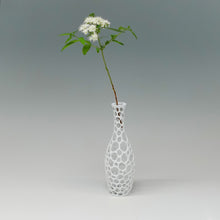 画像をギャラリービューアに読み込む, 加藤好康