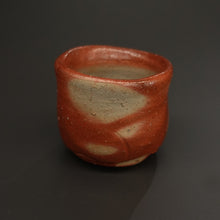 画像をギャラリービューアに読み込む, 伊勢崎紳