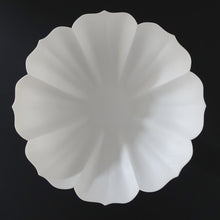 画像をギャラリービューアに読み込む, 若杉聖子