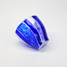 画像をギャラリービューアに読み込む, 内田守・中村敏康