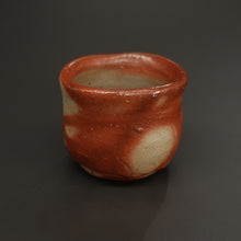 画像をギャラリービューアに読み込む, 伊勢崎紳