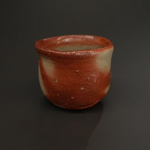 画像をギャラリービューアに読み込む, 伊勢崎紳