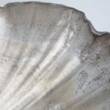 画像をギャラリービューアに読み込む, 林みちよ