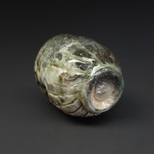 画像をギャラリービューアに読み込む, 篠原希