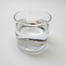 画像をギャラリービューアに読み込む, 由良園