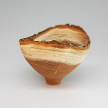 画像をギャラリービューアに読み込む, 髙月國光