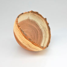 画像をギャラリービューアに読み込む, 髙月國光