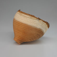 画像をギャラリービューアに読み込む, 髙月國光