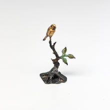 画像をギャラリービューアに読み込む, ヘンク・フレイスン