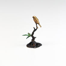 画像をギャラリービューアに読み込む, ヘンク・フレイスン