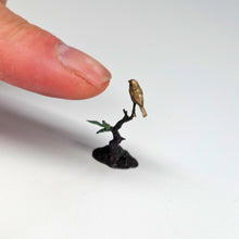 画像をギャラリービューアに読み込む, ヘンク・フレイスン