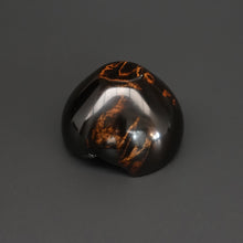 画像をギャラリービューアに読み込む, 髙月國光