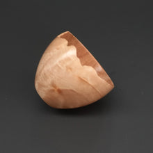 画像をギャラリービューアに読み込む, 髙月國光