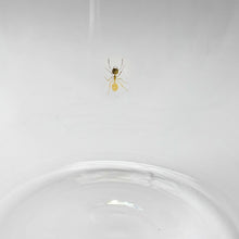 画像をギャラリービューアに読み込む, 由良園