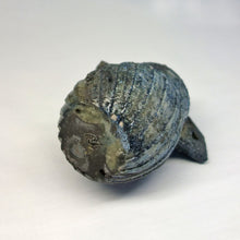 画像をギャラリービューアに読み込む, 金光教悟