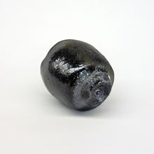 画像をギャラリービューアに読み込む, 後関裕士