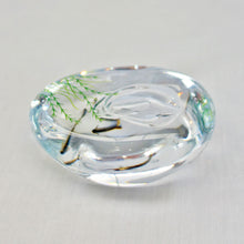 画像をギャラリービューアに読み込む, 久保裕子