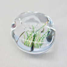 画像をギャラリービューアに読み込む, 久保裕子