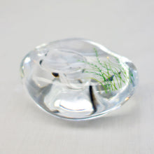 画像をギャラリービューアに読み込む, 久保裕子