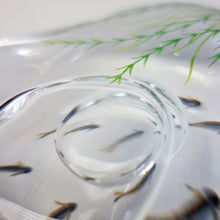 画像をギャラリービューアに読み込む, 久保裕子