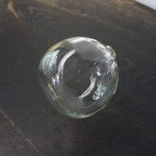 画像をギャラリービューアに読み込む, 石川昌浩