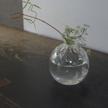 画像をギャラリービューアに読み込む, 石川昌浩