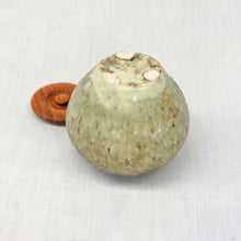 画像をギャラリービューアに読み込む, 長谷川奈津