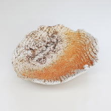 画像をギャラリービューアに読み込む, 武田浪