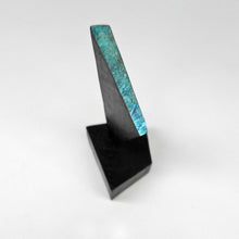 画像をギャラリービューアに読み込む, 榎本勝彦