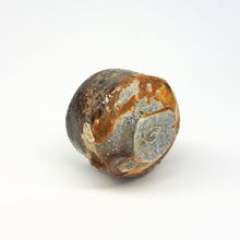 画像をギャラリービューアに読み込む, 近藤正彦