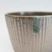 画像をギャラリービューアに読み込む, 伊勢崎紳