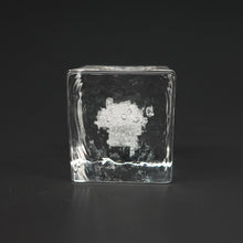 画像をギャラリービューアに読み込む, 荒川尚也