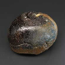 画像をギャラリービューアに読み込む, 伊勢﨑晃一朗