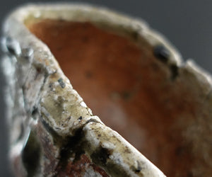 篠原希 陶展 篠原希 陶展