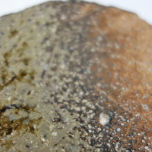 画像をギャラリービューアに読み込む, 大平和正