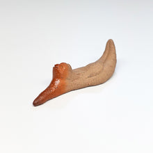 画像をギャラリービューアに読み込む, 島村光