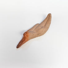 画像をギャラリービューアに読み込む, 島村光