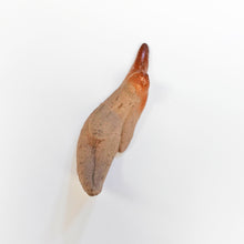 画像をギャラリービューアに読み込む, 島村光