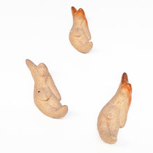 画像をギャラリービューアに読み込む, 島村光