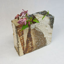 画像をギャラリービューアに読み込む, 大平和正