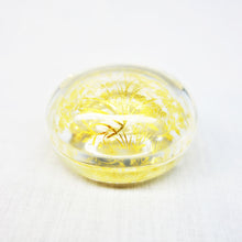 画像をギャラリービューアに読み込む, 由良園