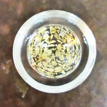 画像をギャラリービューアに読み込む, 由良園