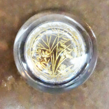 画像をギャラリービューアに読み込む, 由良園