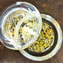 画像をギャラリービューアに読み込む, 由良園