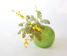 画像をギャラリービューアに読み込む, 横山秀樹