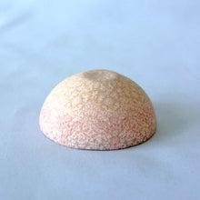 画像をギャラリービューアに読み込む, 清水真由美