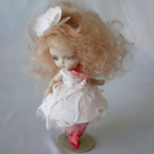 画像をギャラリービューアに読み込む, てらおなみ